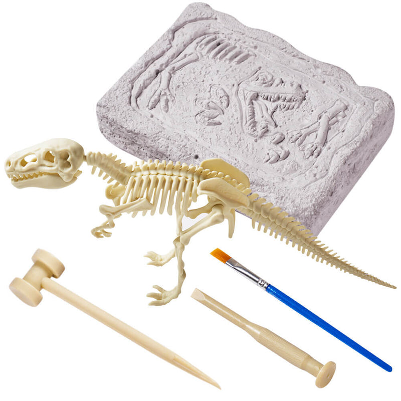 Dinosaur Skeletons Puzzle  Archaeology Learning Game