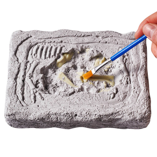  Brush on dinosaur digging kit toy 