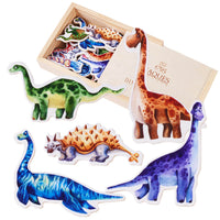 Dinosaur magnets with a wooden storage box
