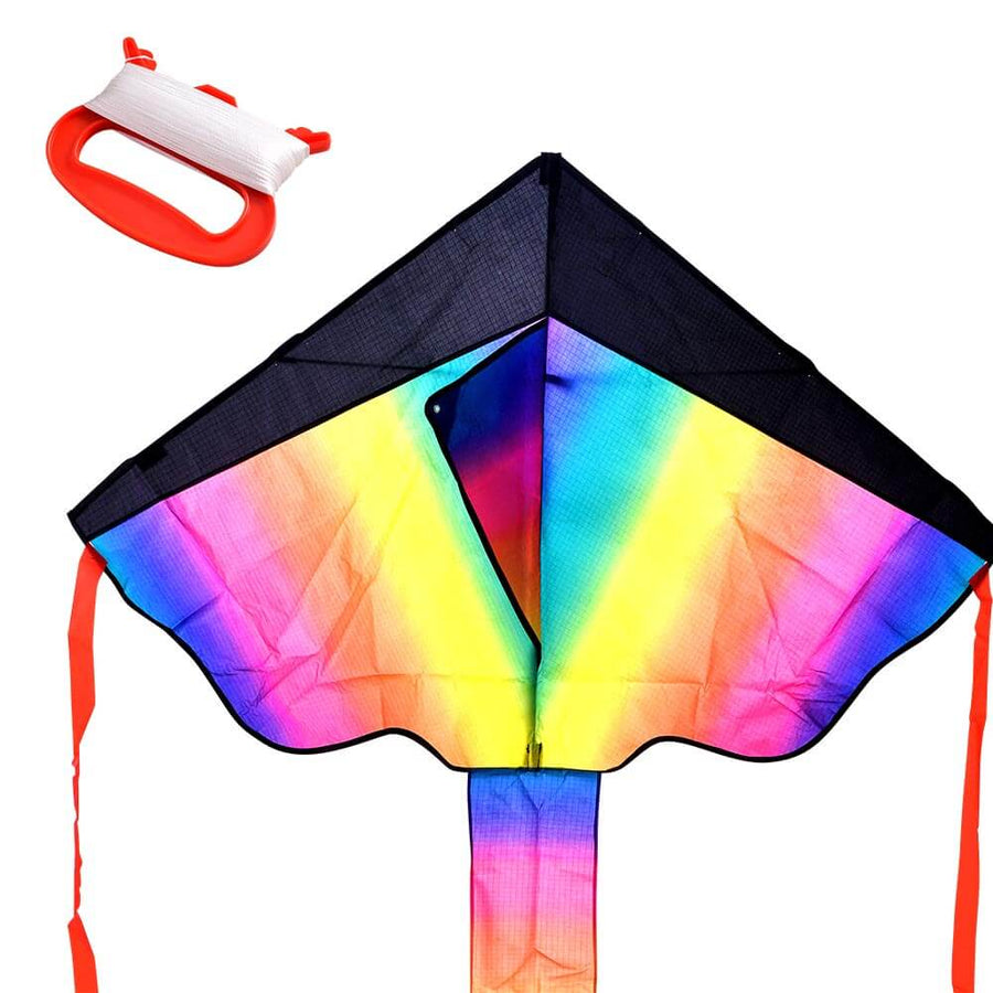 Colourful Kids Kite - Garden Toy 2