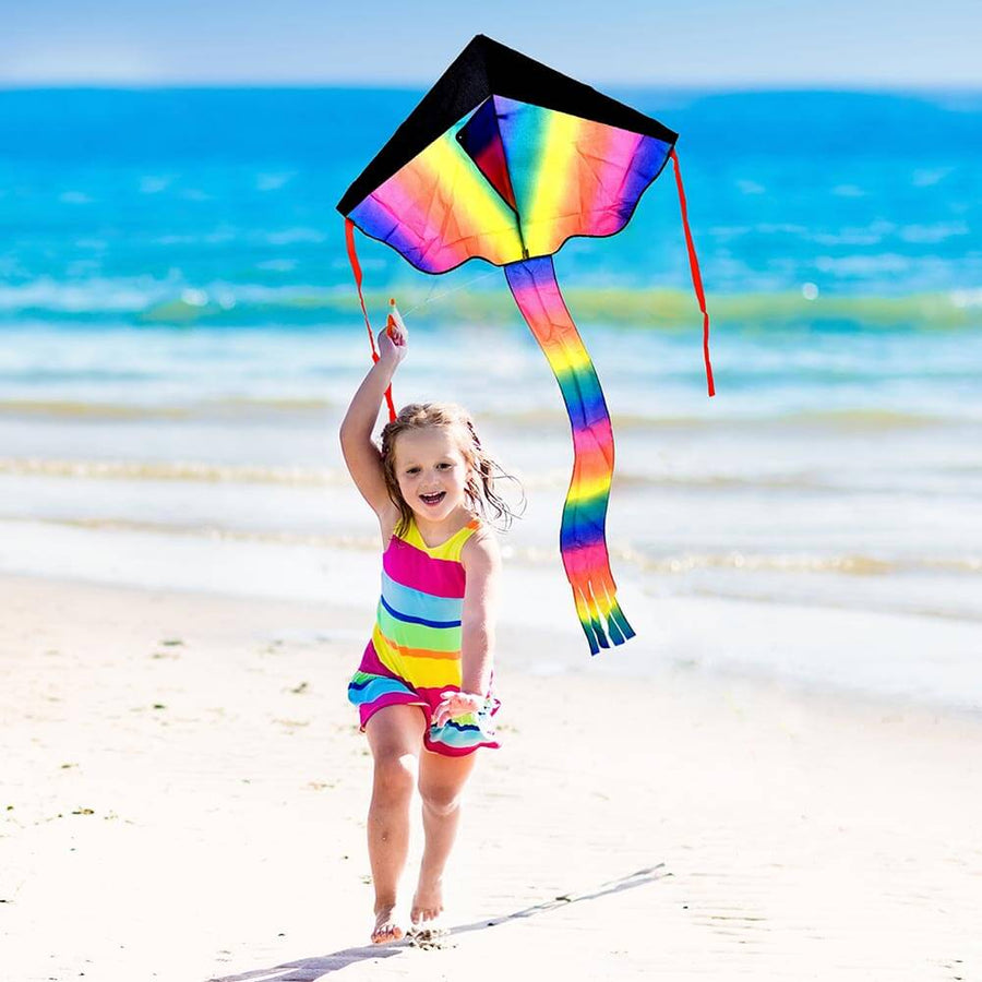 Colourful Kids Kite - Garden Toy 3